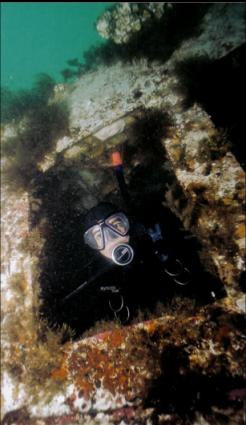 DIVER IN BRIDGE WINDOW