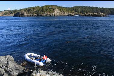 looking from South Bedford Island to Vancouver Island