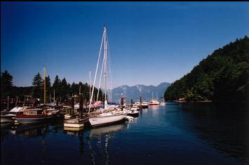 LOOKING OUT FROM MARINA