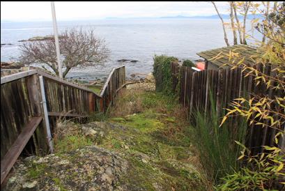 Trail between fences