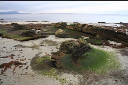 the point at low tide