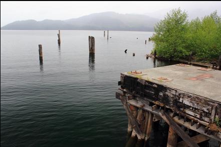 dock and pilings