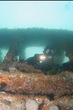 JAMIE LOOKING OUT OF WRECK