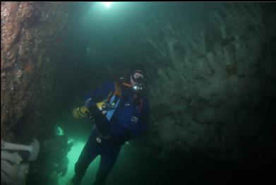 INSIDE THE CAVERN