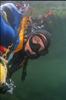 SNORKELING OUT