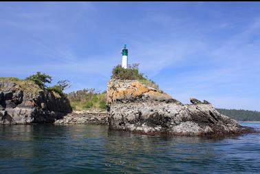 Dock Island Light and small cove after dive.