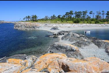 looking back from point