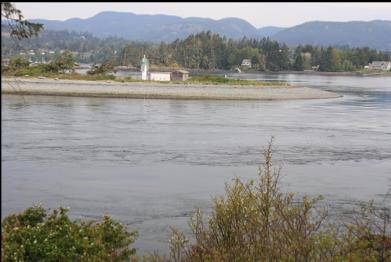 looking across at the tip of Whiffin Spit