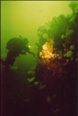 DIVER OUTSIDE BRIDGE