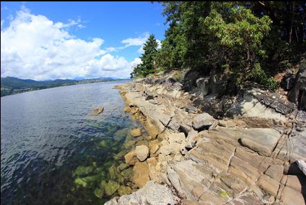 the shoreline looking towards Ladysmith