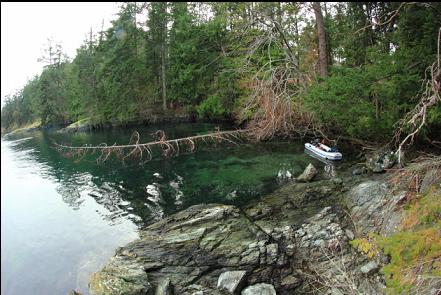 tied up in the small bay