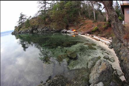 the small bay with Skinner point around the point in the background