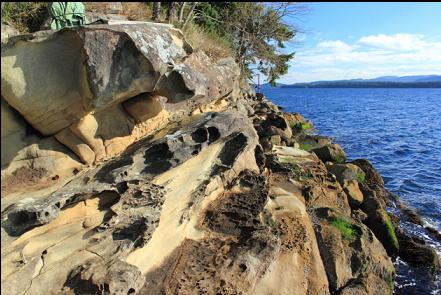 sandstone shoreline