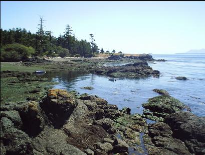 DRUMMOND BAY AT LOW TIDE