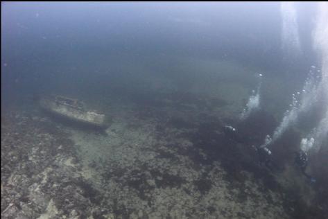  school group divers