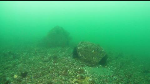 boulders out from the base of the reef