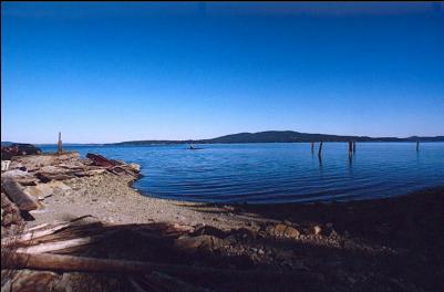 BEACH, MARKER AND PILINGS