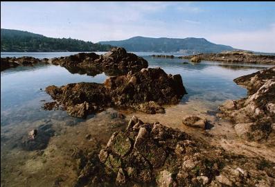 REEFS AT LOW TIDE