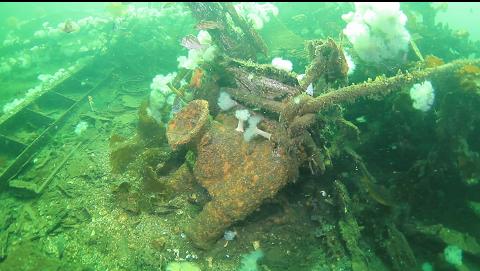 capstan on the collapsed bow