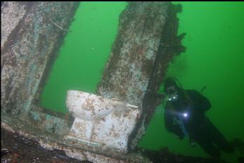 TOILET TO TAUNT DRYSUIT DIVERS