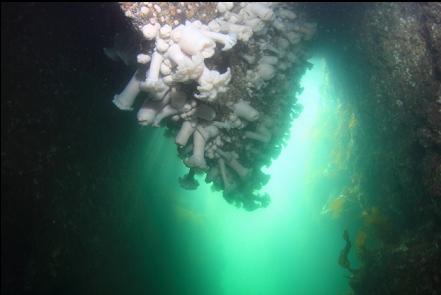 near the shallow exit from the cavern