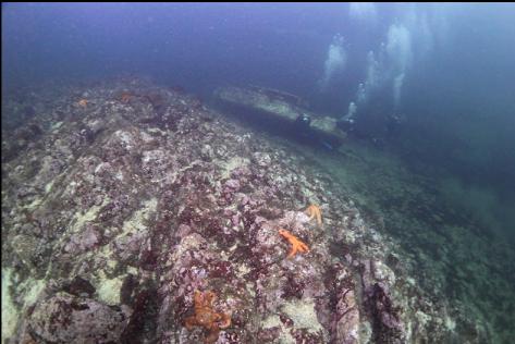 school group divers