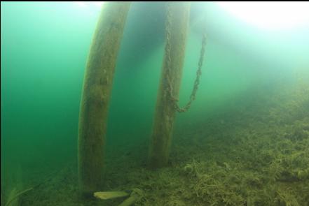 under a dock