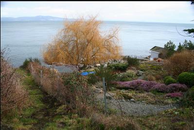 TRAIL TO SHORELINE