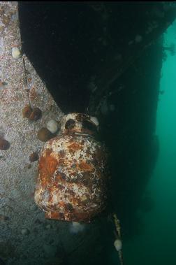 propane tank hanging off side of hull