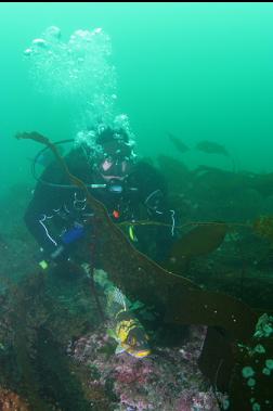 JAMIE AND COPPER ROCKFISH