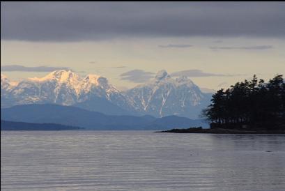 looking across to Cottam Point and mountains on the mainland