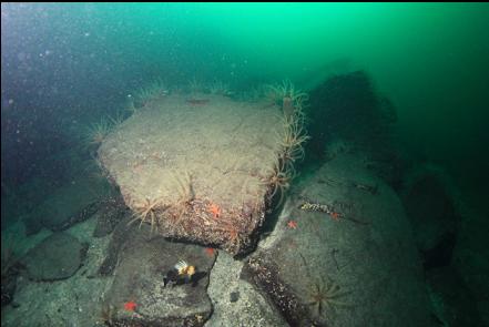 boulders 100 feet deep