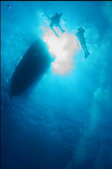 SURFACING AFTER FIRST DIVE