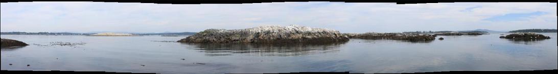 Panorama near dive site