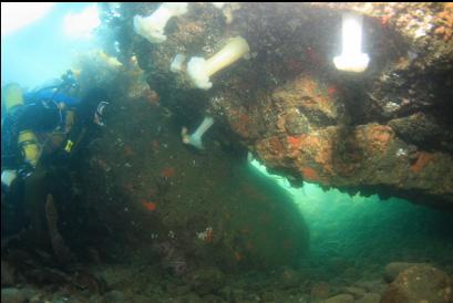 small tunnel under big boulder