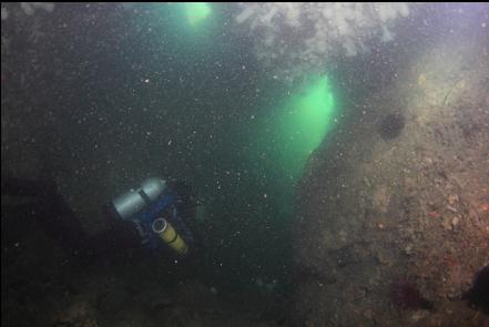 stirring up the sediment in the cavern