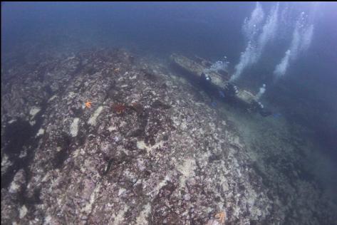 school group divers