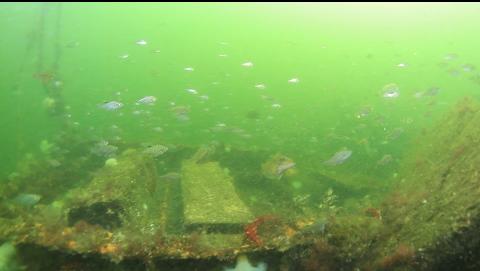 perch on top of the drydock