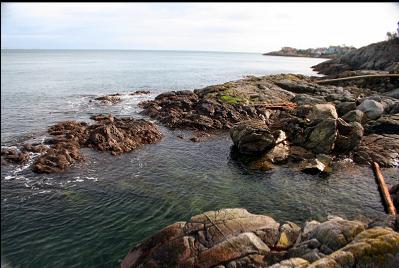 SHORELINE WITH TEN MILE POINT IN DISTANCE