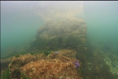 sandstone near shore