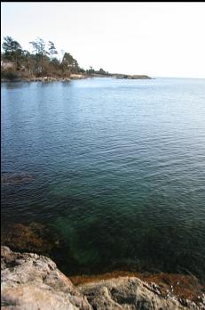 LOOKING TOWARDS STAINES ISLAND FROM ENTRY POINT