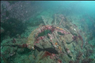 jumbled wreckage near boiler