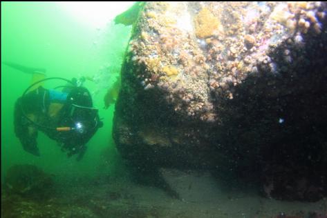 looking under a small overhang at the base of a reef