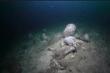 boulders 80 feet deep