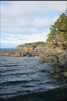 LOOKING TOWARDS THE TIP OF THE POINT