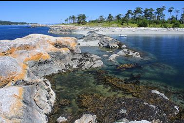 looking back from point