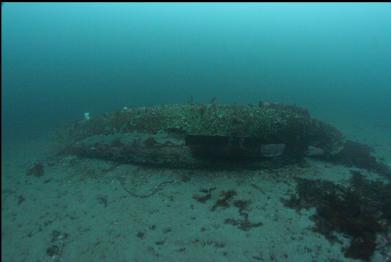 sailboat wreck