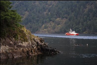 coast guard boat off point