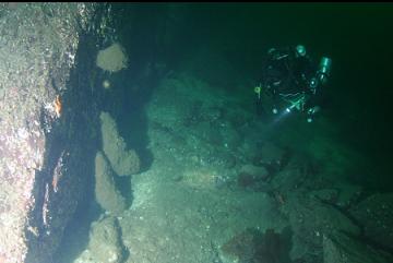 BOOT SPONGES AT BASE OF WALL