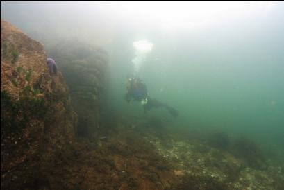 sandstone near shore